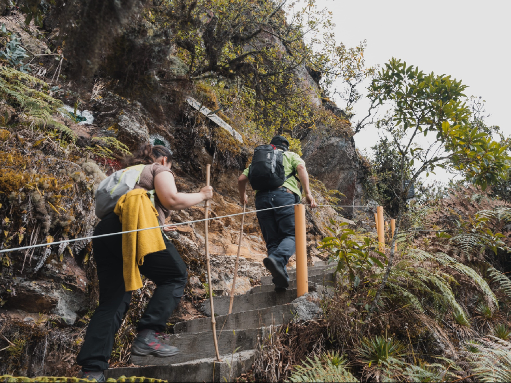Caminata ecológica sendero 7 veces 7