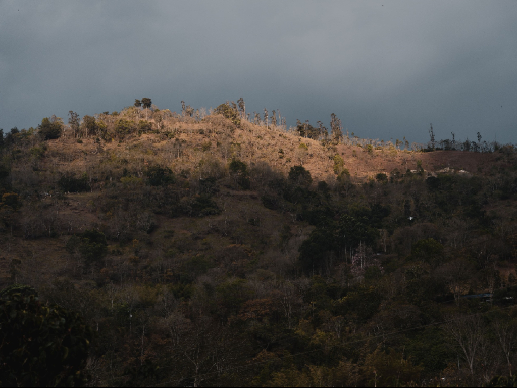 Skale Peregrino Ecolodge