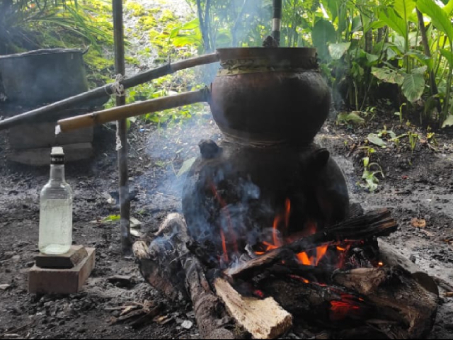 Caminata ecológica sendero 7 veces 7