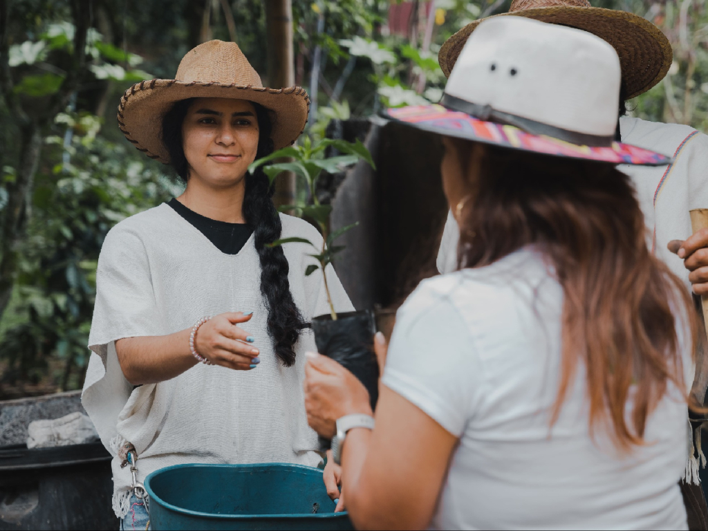 Coffee Tour
