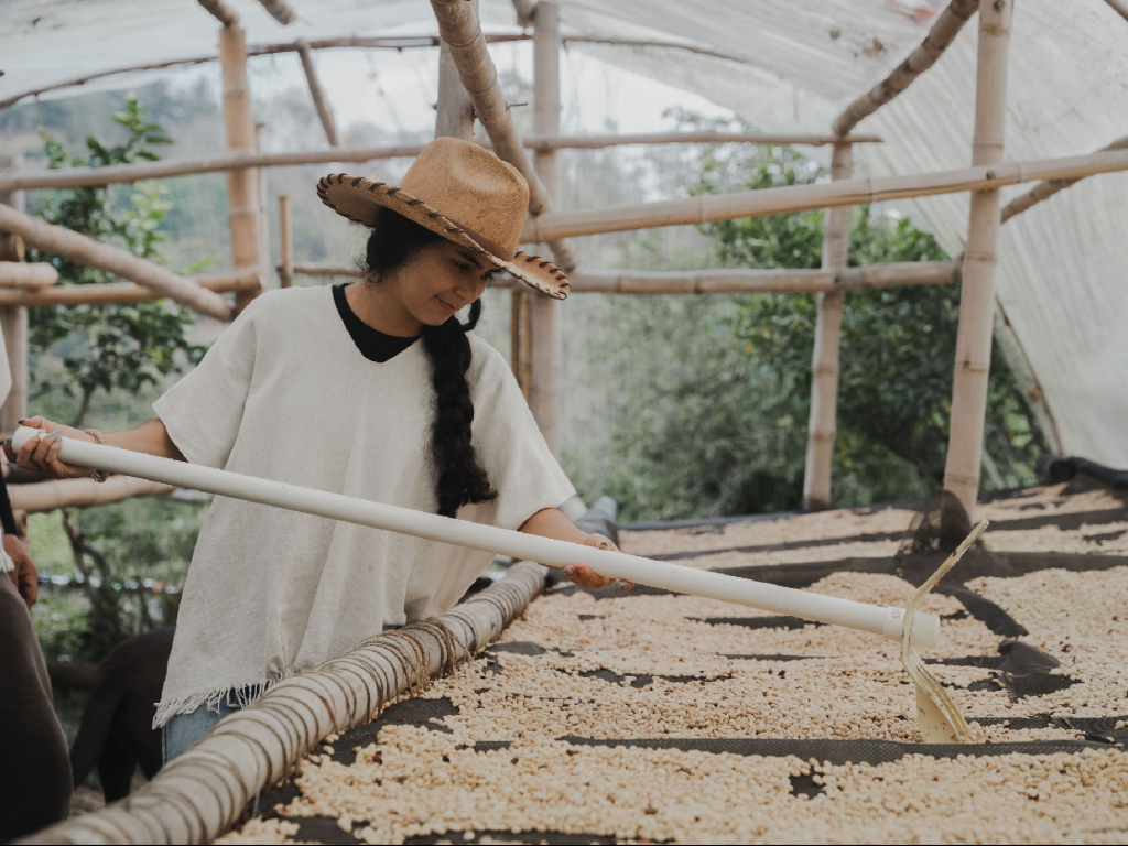 Coffee Tour