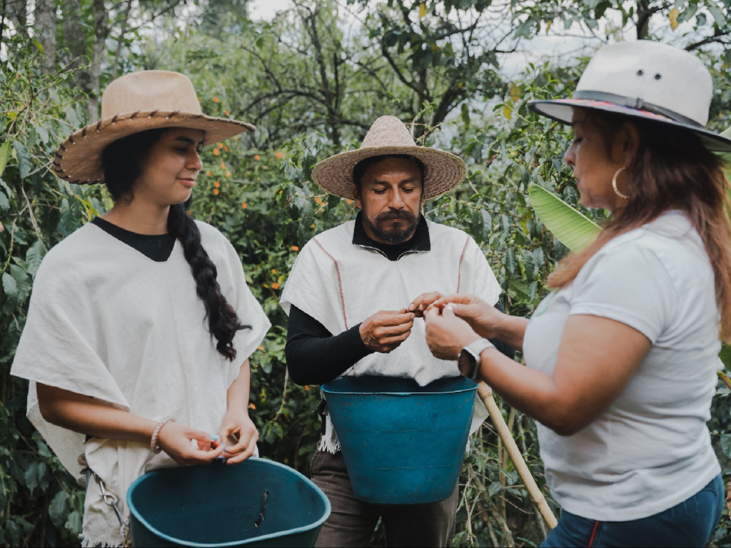Coffee Tour