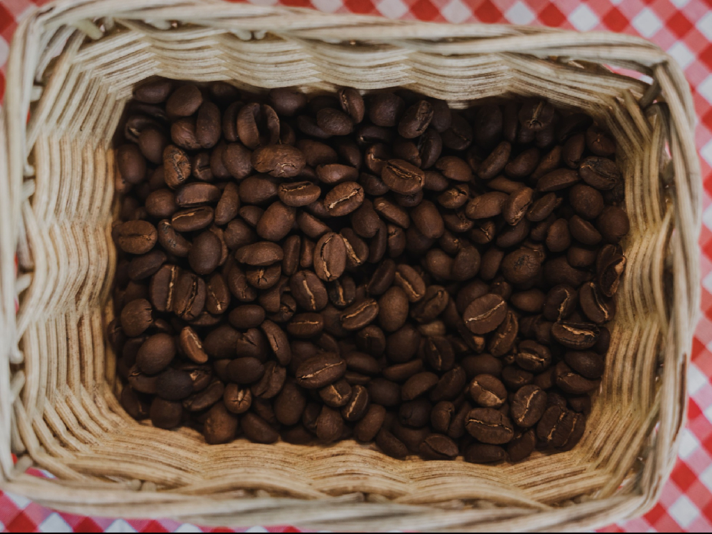 Coffee Tour