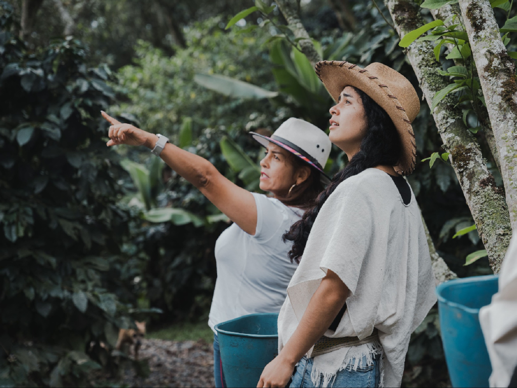 Coffee Tour