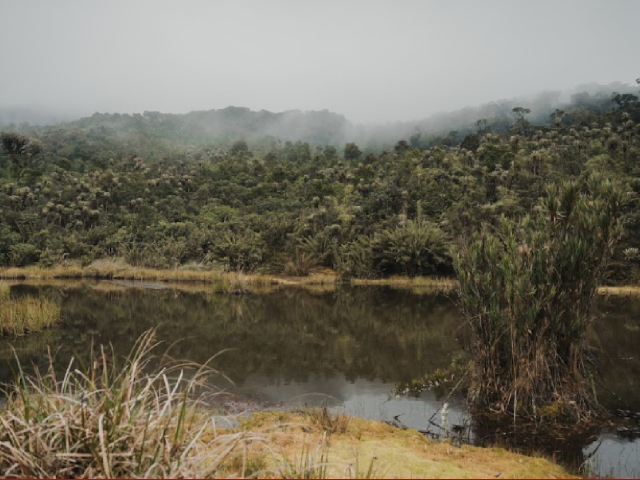 Sendero a la Laguna de Paramillo