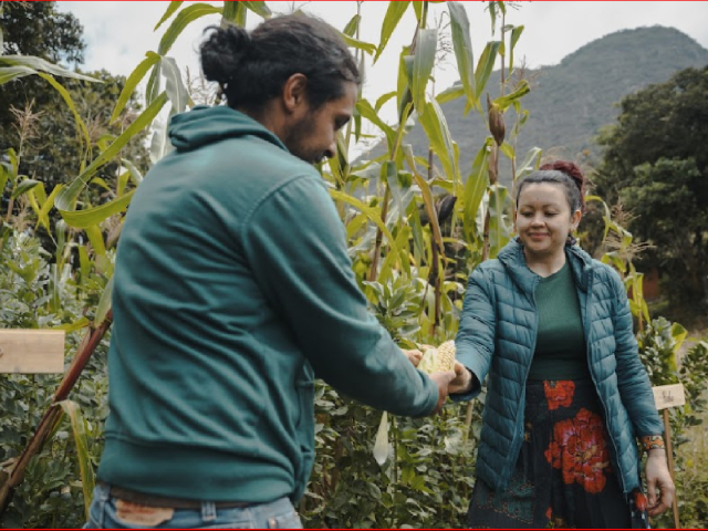 Alimentando Ando: el viaje de la semilla
