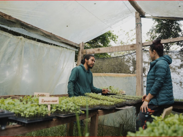 Alimentando Ando: el viaje de la semilla
