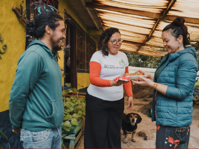 Alimentando Ando: el viaje de la semilla