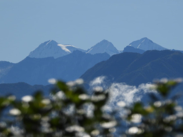 collection-img-1